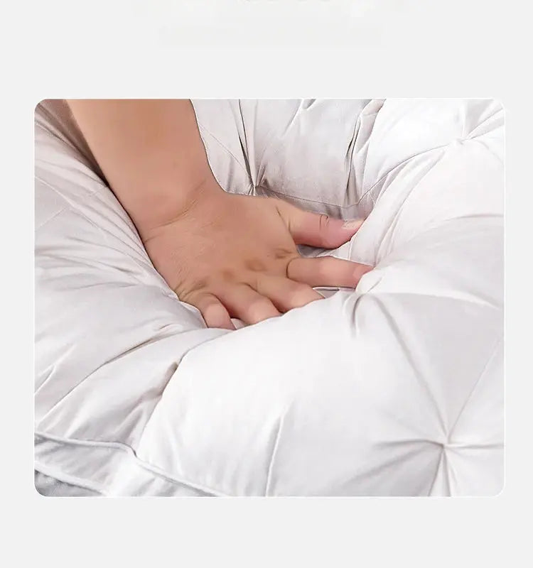 Goose Down Pillow